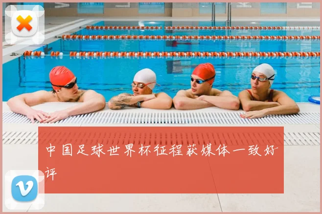 中国足球世界杯征程获媒体一致好评