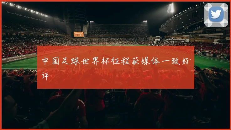 中国足球世界杯征程获媒体一致好评