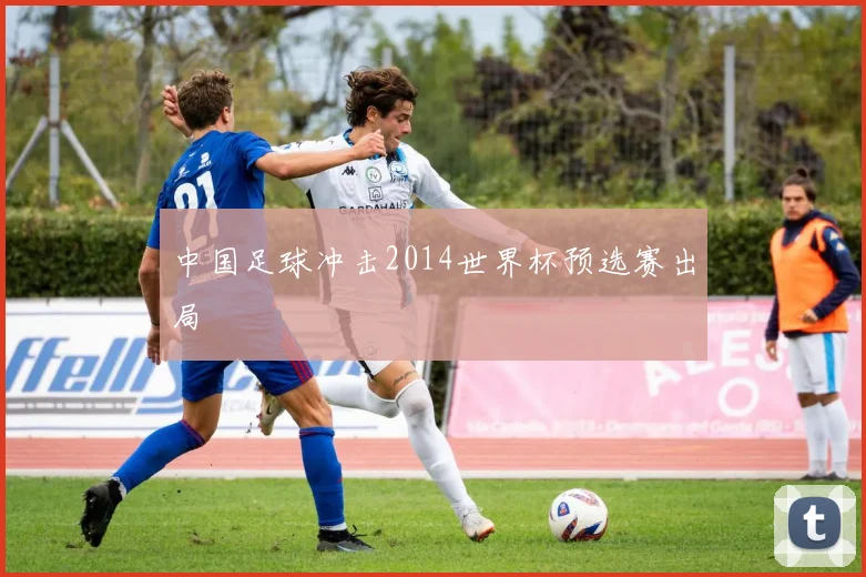 中国足球冲击2014世界杯预选赛出局
